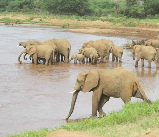 Watering Hole Attacks Push ScanBox Keylogger