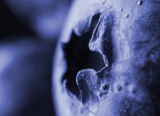 News on three ransomware operations: BianLian, Cuba, and Ragnar Locker. How the gangs are recruiting. Mobile app supply chain blues. Happy Insider Threat Month.