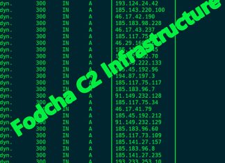 Fodcha DDoS Botnet Resurfaces with New Capabilities