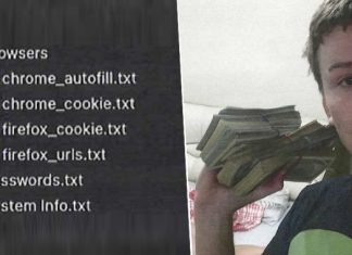 U.S. Charges Ukrainian Hacker Over Role in Raccoon Stealer Malware Service