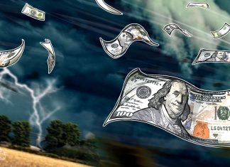 Moonbirds creator Kevin Rose loses $1.1M+ in NFTs after 1 wrong move