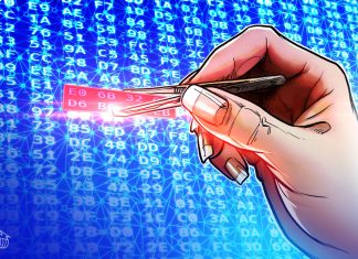 Hedera confirms exploit on mainnet led to theft of service tokens