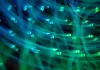 ‘Store now, decrypt later’: US leaders prep for quantum cryptography concerns