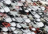 Feds identify two more Russian election disinfo attempts, say Iranian campaigns remain a threat