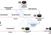Ukrainian Network FDN3 Launches Massive Brute-Force Attacks on SSL VPN and RDP Devices