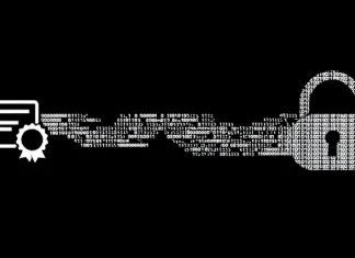 Microsoft Revokes 200 Fraudulent Certificates Used in Rhysida Ransomware Campaign