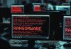 Bearlyfy Hits Russian Firms with Custom GenieLocker Ransomware
