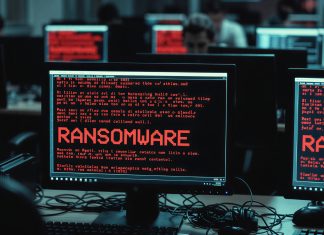 Bearlyfy Hits Russian Firms with Custom GenieLocker Ransomware
