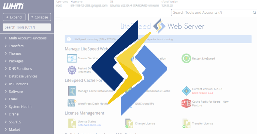 LiteSpeed cPanel Plugin CVE-2026-48172 Used for Root Script Execution